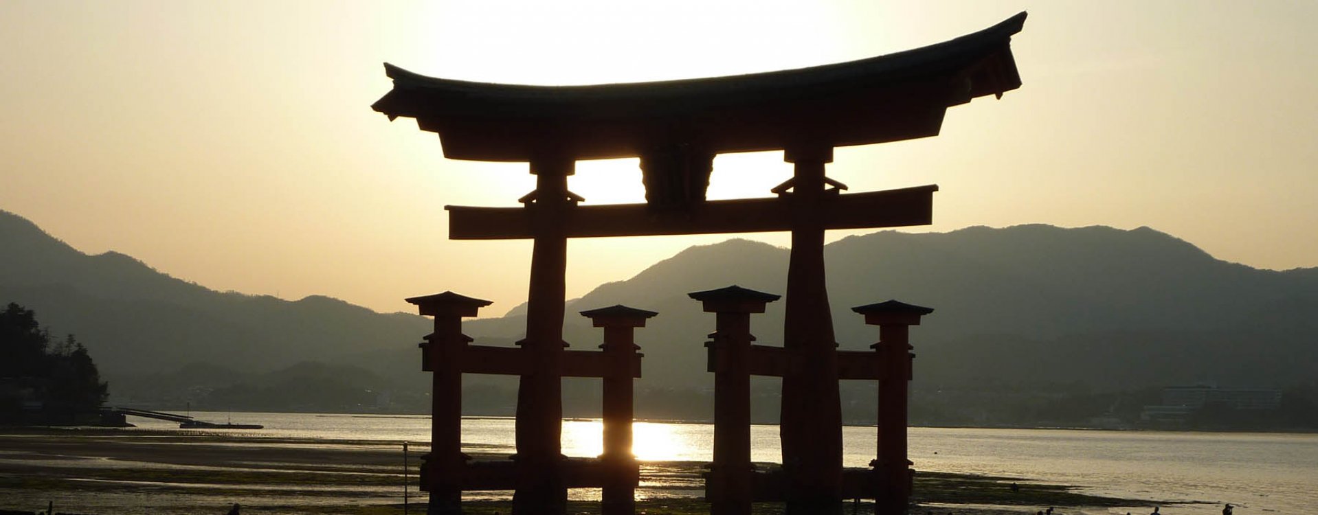 Tokyo, crosswalk in wijk Shibuya