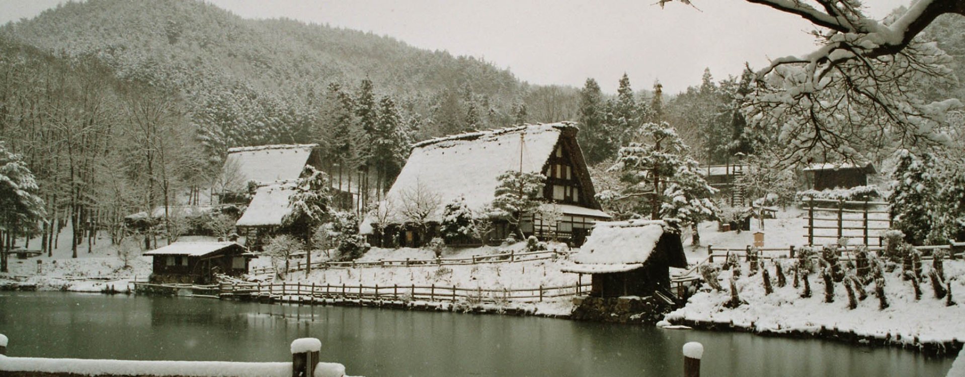 Rainbow bridge & Tokyo Tower