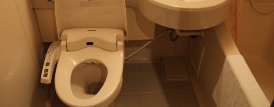 jp, algemeen, toiletcultuur (1).jpg