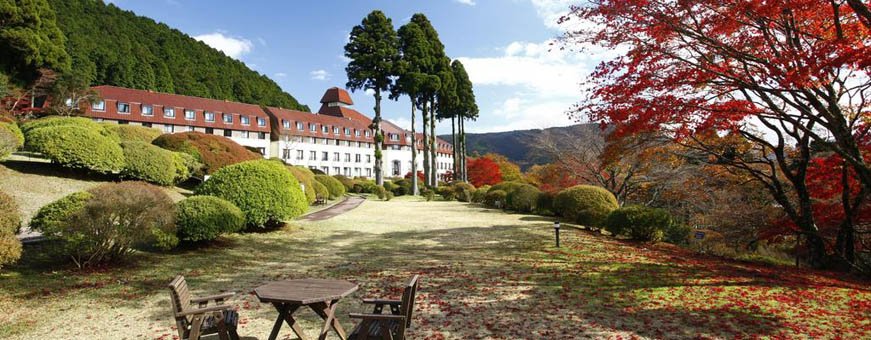 jp, hakone, de yama  (1).jpg