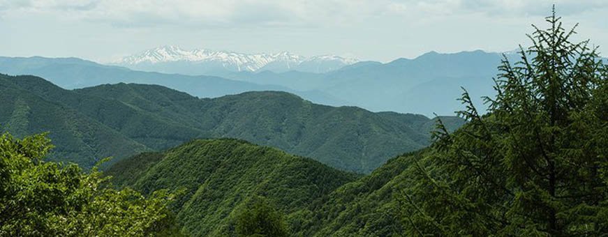 jp matsumoto, myoijnkan (8).jpg