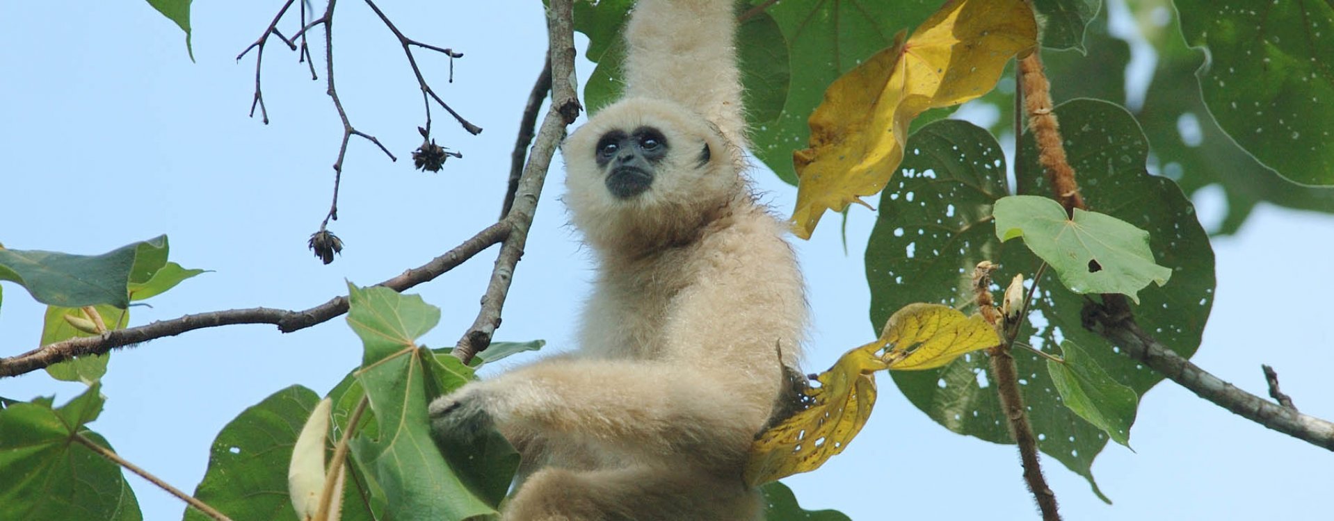 Floating Market Bangkok
