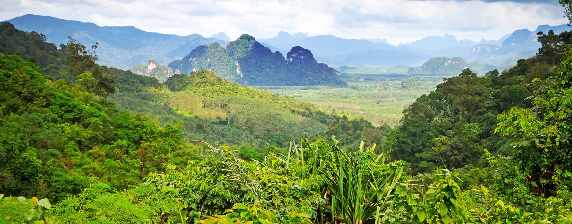 Wat Chai Wattanaram, Ayutthaya