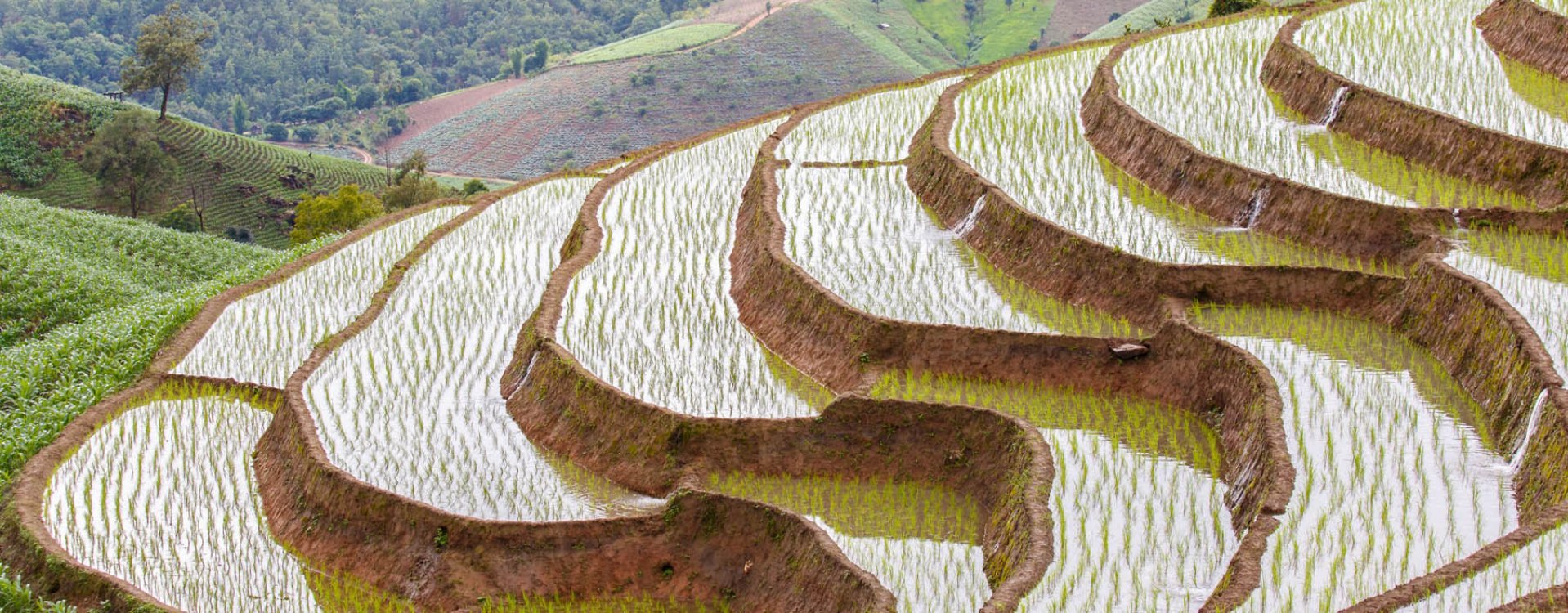 Floating Market Bangkok