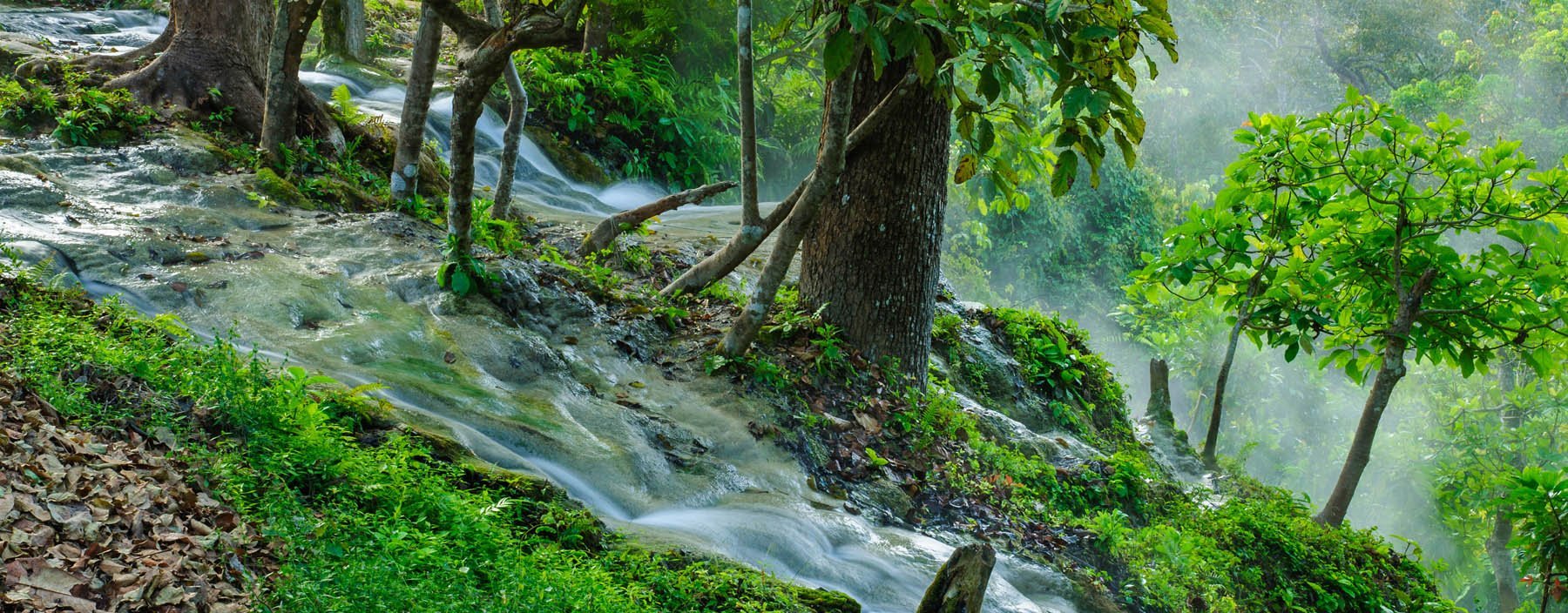 th, chiang mai, bua tong waterval (2).jpg