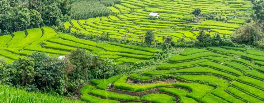 th, chiang mai, omgeving.jpg