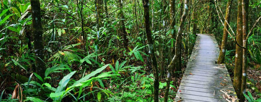 th. khao yai national park, khao yai np (7).jpg