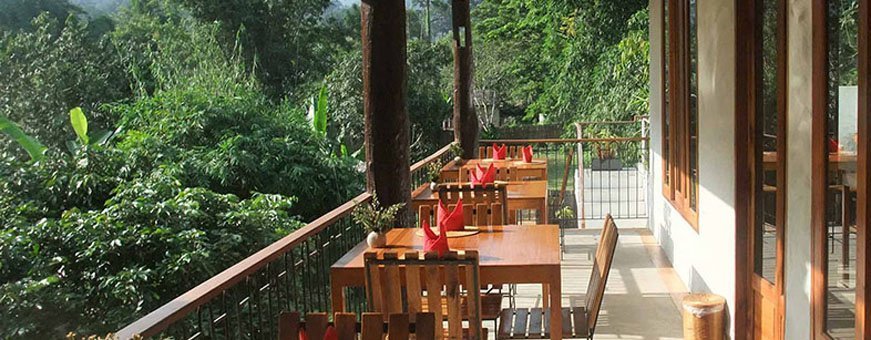 th, chiang dao, chiang dao nest, restaurant.jpg