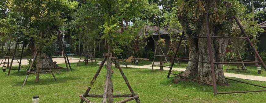 th, chiang khan, chiang klong riverside resort, tuin.jpg