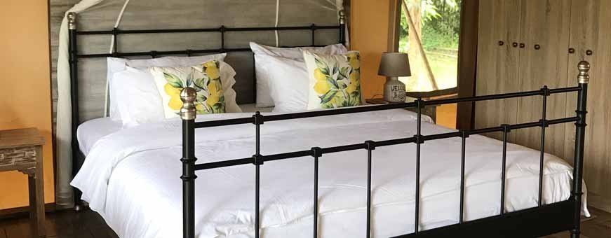 th, sirila, sirila farm, tent.jpg