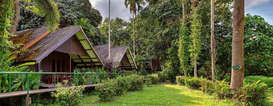 th, khao sok, riverside, resort.jpg