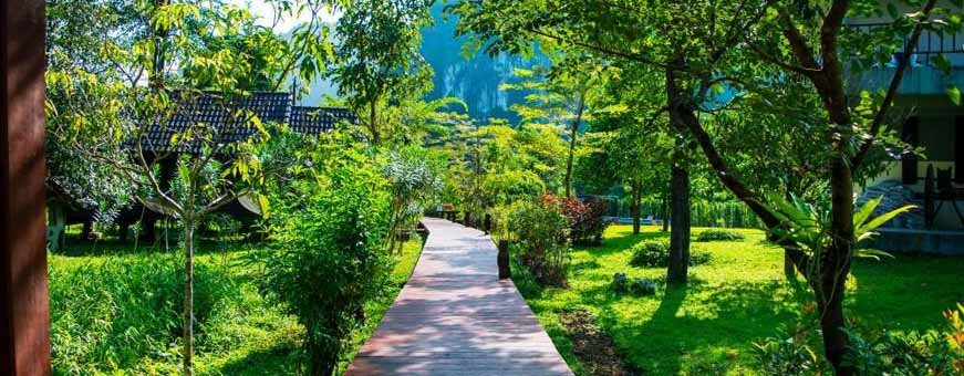 th, khao sok, montania, resort.jpg