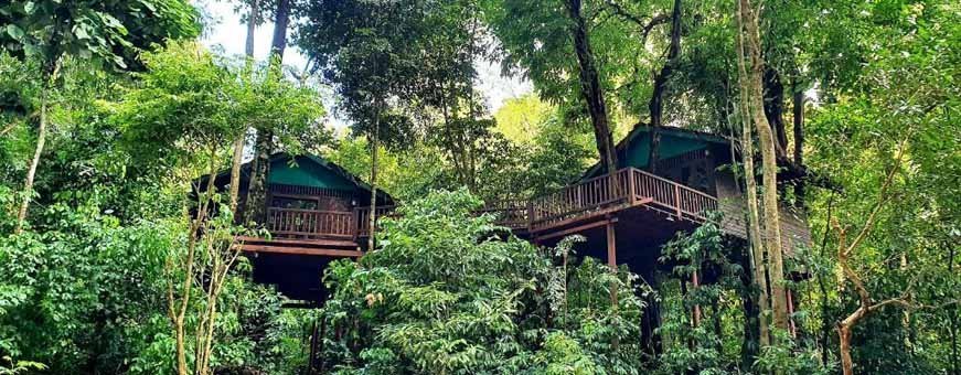 th, khao sok, our jungle house, boomhut.jpg