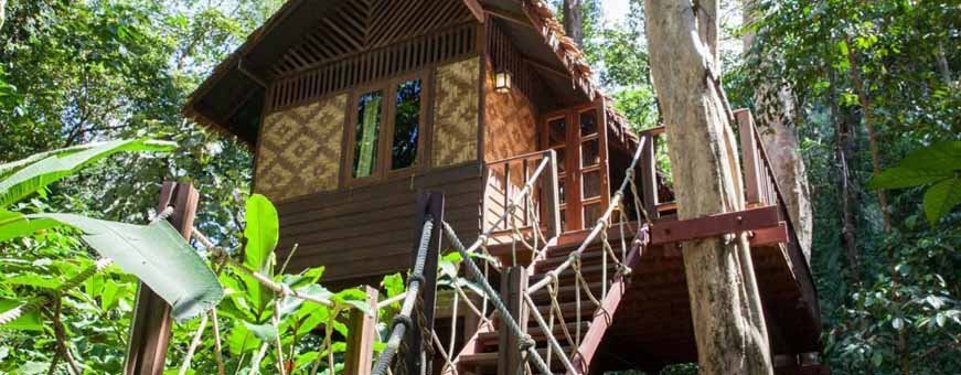 th, khao sok, our jungle house, natuur en boomhut.jpg