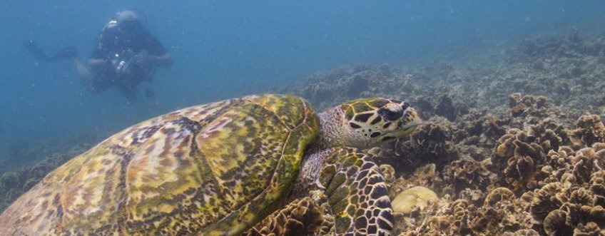 th, koh tao (10).jpg