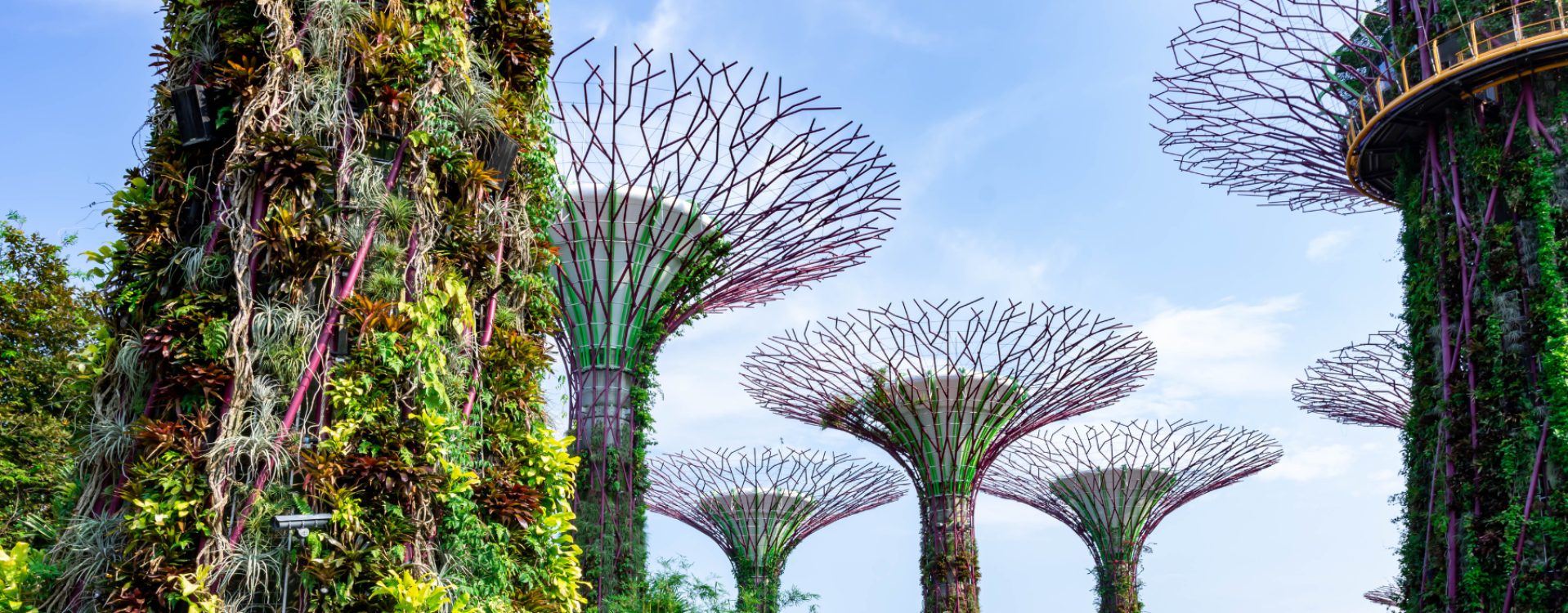Belum Rainforest