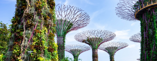 Garden by the Attraction in Singapore