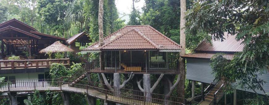 TH, Khao Sok, Rock and Treehouse