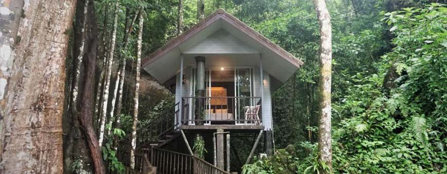 TH, Khao Sok, Rock and Treehouse