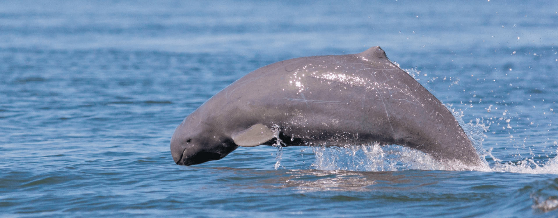 Sambok Pagoda in Kratie