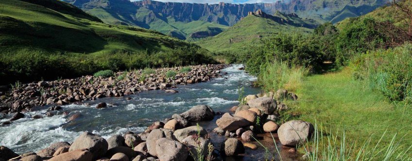 ZA, Drakensbergen, Royal Natal NP  (2).jpg