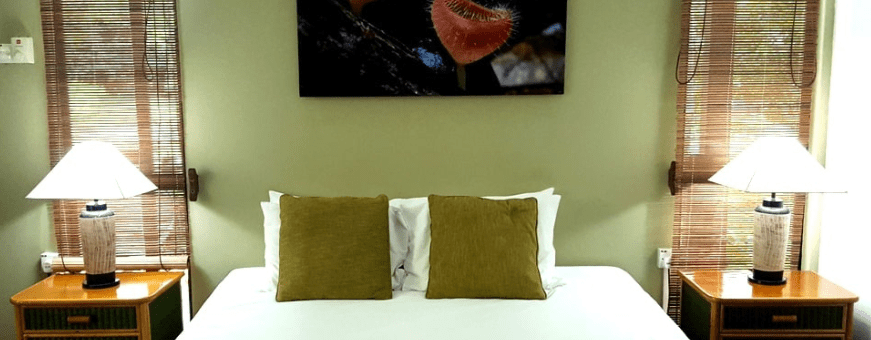 Mulu NP, Mulu Park Headquarters, Kamer