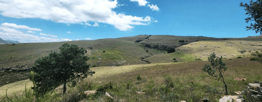 ZA, Dullstroom, Schaefers Halt