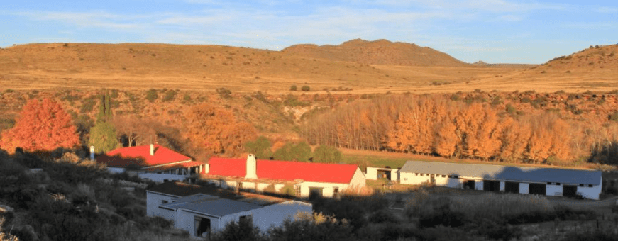 ZA, Graaf Reinet, Ganora Guest Farm