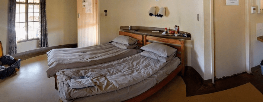 ZA, Kruger Rest Camp, Olifants