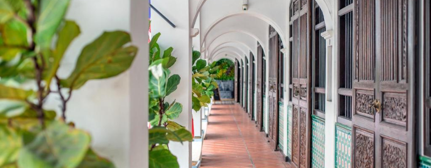 MY, Penang, Areca, Gang