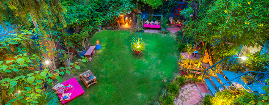 IN, Agra, Coral Tree, tuin