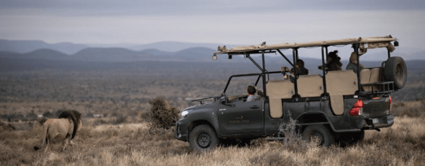 ZA, Addo Private Game reserve, Kuzuko Lodge 
