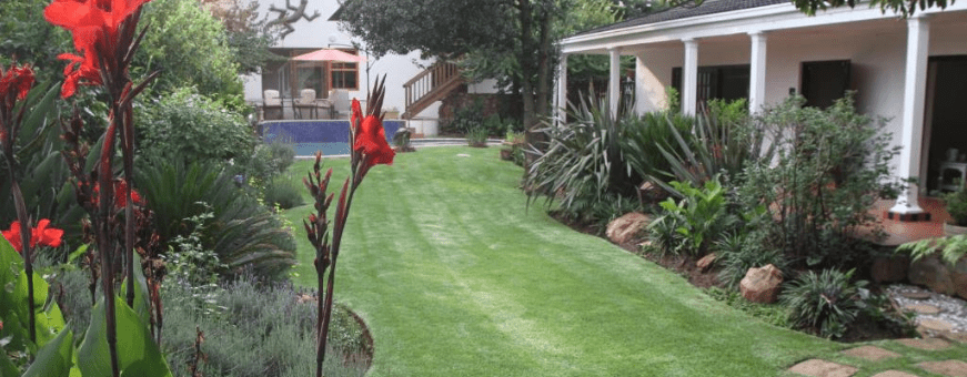 ZA, Johannesburg, Lucky Bean Guesthouse