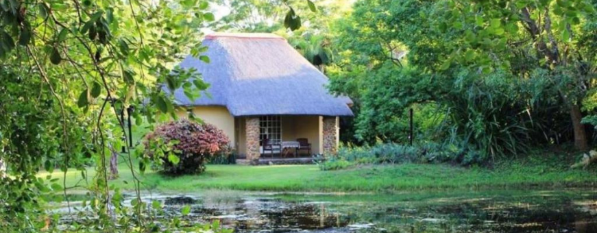 ZA, Hazyview, Idle & Wild