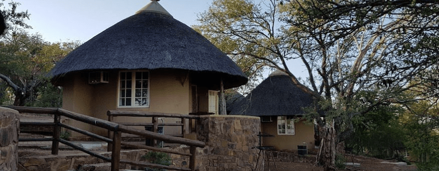 ZA, Kruger Rest Camp, Olifants
