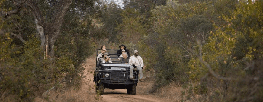 ZA, Private Game Reserve, KwaMbili Game lodge