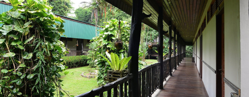 Kinabatangan Rivier, Sukau Ranforest Lodge, Board walk