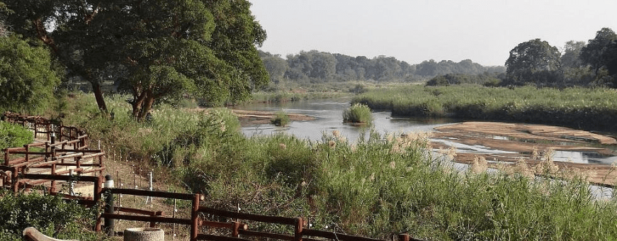 ZA, Kruger Rest Camp, Skukuza