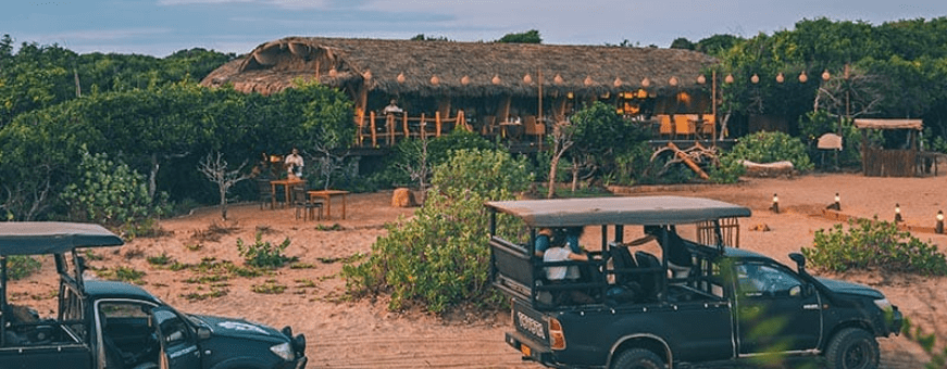 LK, Yala, Uga Chena Huts, safari