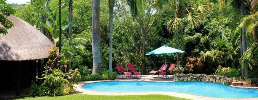 ZA, Hazyview, Idle & Wild