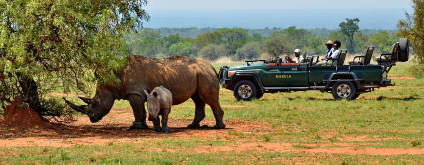ZA, Waterberg, Mabula Game Lodge
