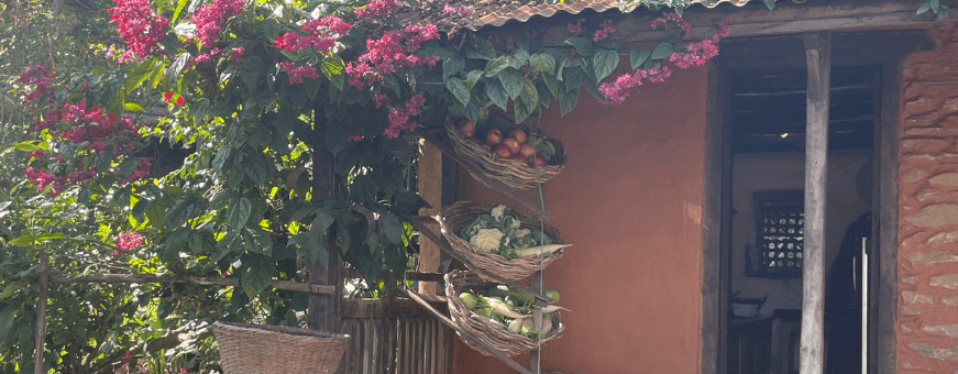 NP, Riepe Village lokale producten