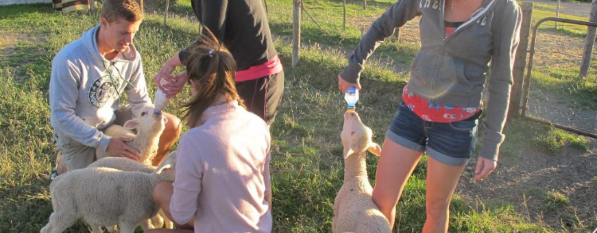 ZA, Graaf Reinet, Ganora Guest Farm