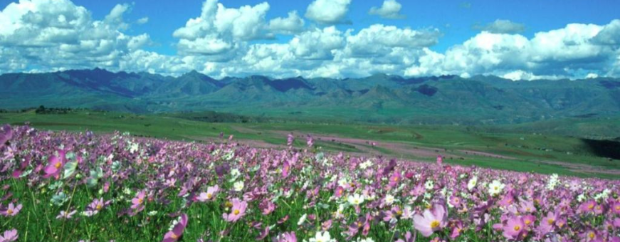 ZA, Lesotho, Malealea Lodge 