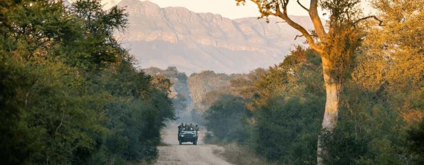 ZA, Private Game Reserve, Karongwe River Lodge