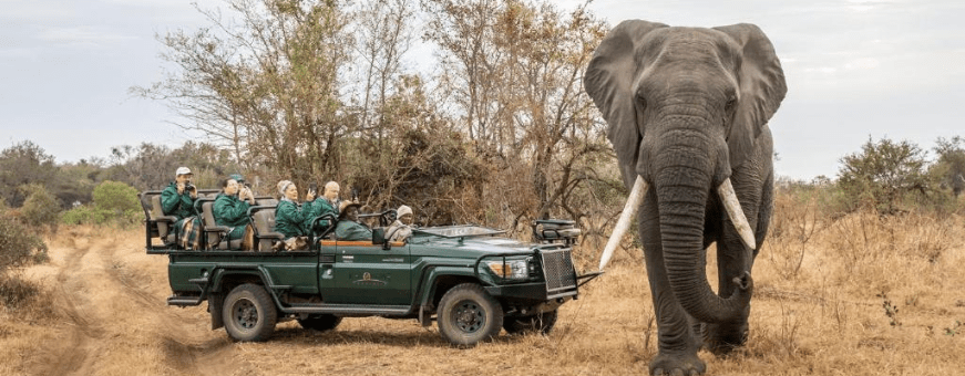 ZA, Private Game Reserve, Karongwe River Lodge