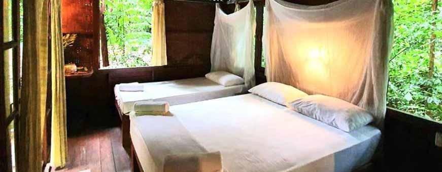 TH-SOK-OurJungleHouse-room2