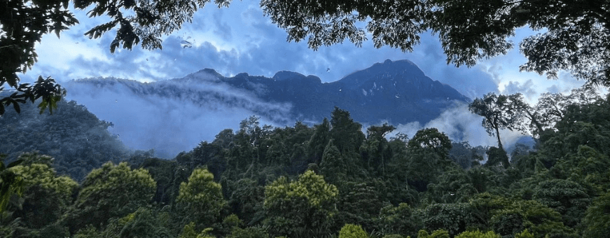 TH-CHD-Villa de View 1