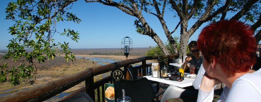 ZA, Kruger Rest Camp, Olifants