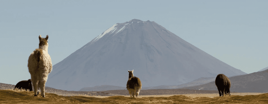 PE, Colca, Puqio Lodge 